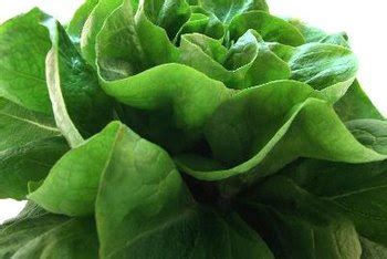 list-of-dark-green-vegetables-healthy-eating-sf-gate image