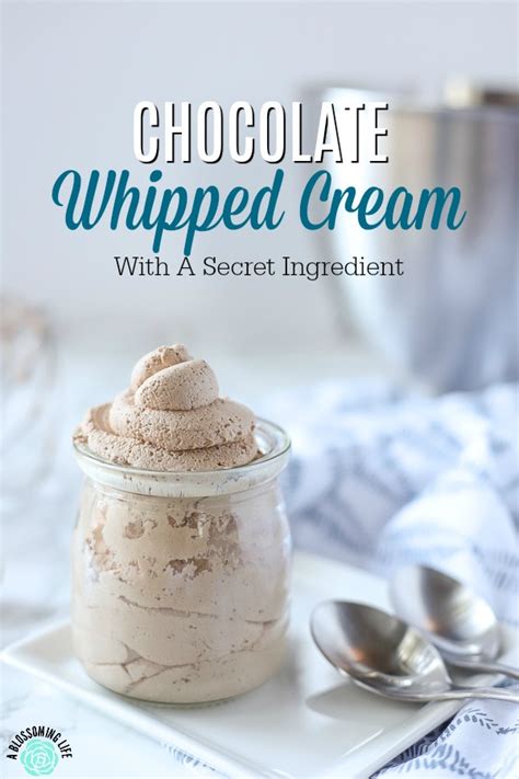 the-best-chocolate-whipped-cream-with-a-secret image