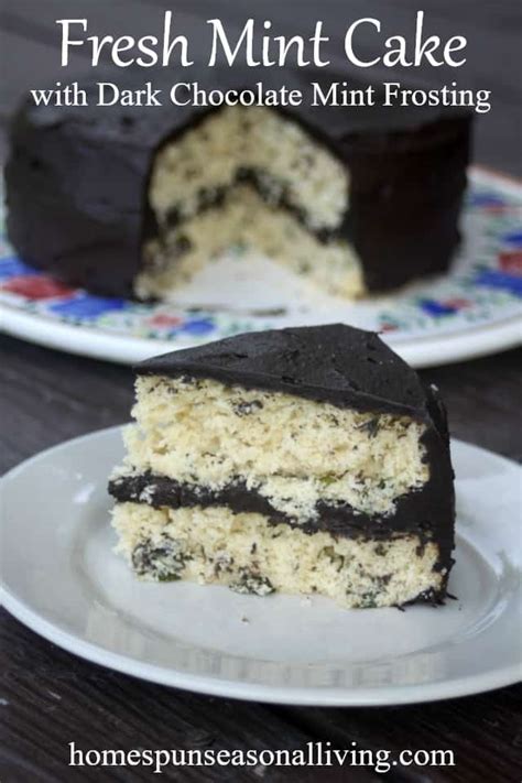 fresh-mint-cake-with-dark-chocolate-mint-frosting image