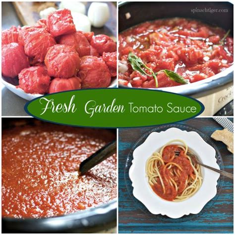 garden-tomato-sauce-recipe-with-fresh-basil image