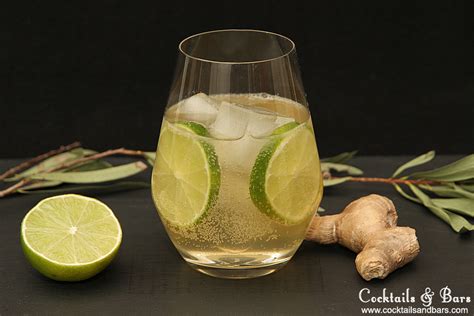 chilcano-cocktail-recipe-pisco-cocktails-cocktails-bars image