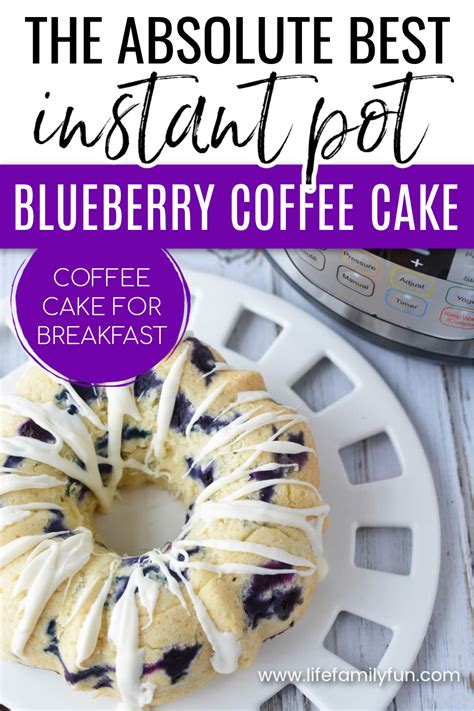 blueberry-coffee-cake-made-in-the-instant-pot-life-family-fun image