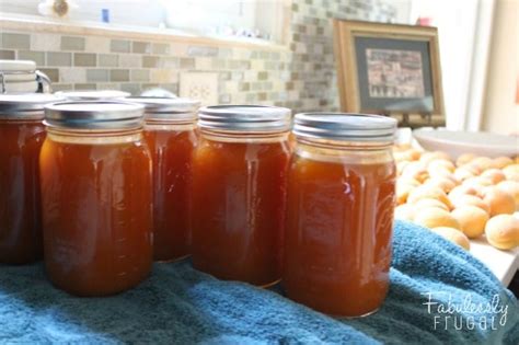 homemade-apricot-syrup-recipe-fabulessly-frugal image