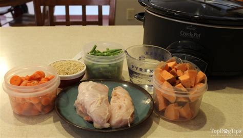 recipe-chicken-and-vegetable-crock-pot-dog-food image