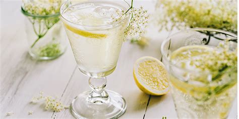 5-of-the-best-gin-cocktails-with-elderflower-craft-gin-club image