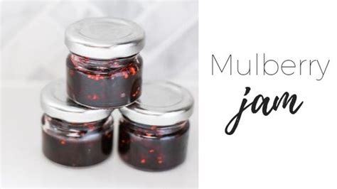 mulberry-jam-recipe-a-simple-quick-and-delicious image