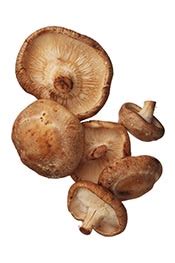 sauteed-mushrooms-how-to-saute-for-incredible-taste image