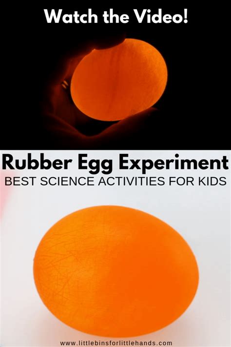 egg-in-vinegar-experiment-little-bins-for-little-hands image