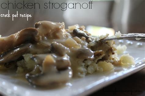 slow-cooker-chicken-stroganoff-slow-cooker-meals image