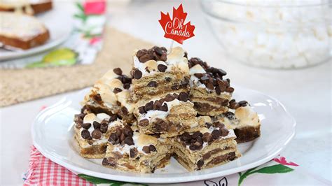 the-perfect-smores-squares-for-a-summer-snack image