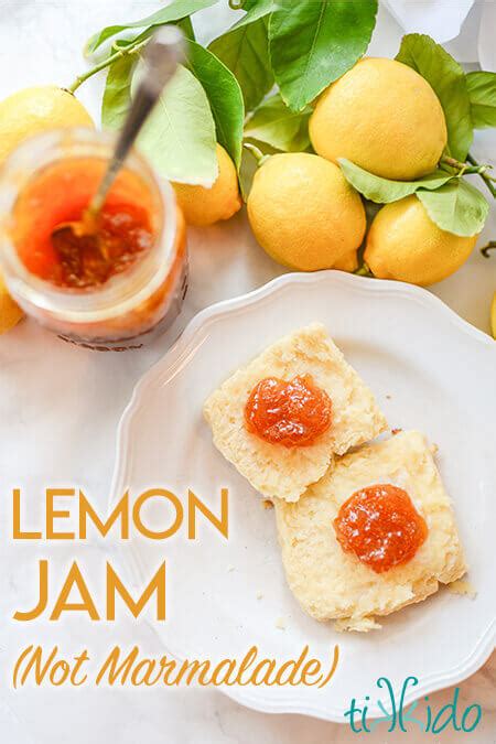 amazing-easy-lemon-jam-recipe-not-marmalade image