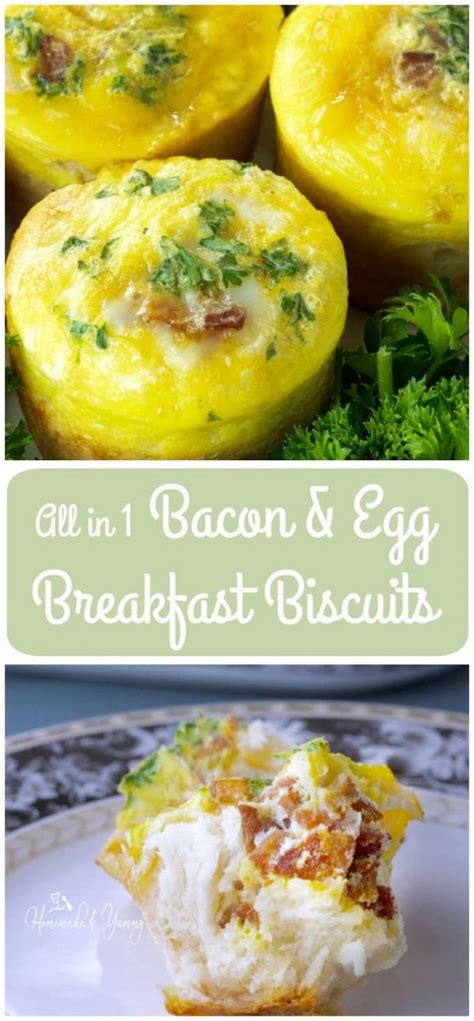 bacon-egg-breakfast-biscuits-homemade-yummy image