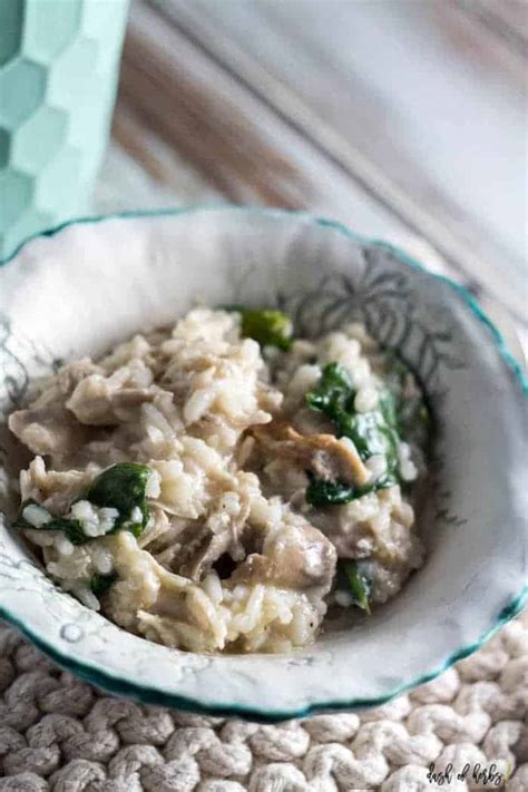 creamy-risotto-with-chicken-and-spinach-dash-of image