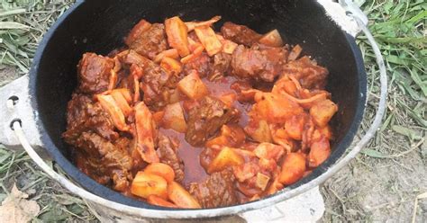 campfire-beef-stew-bush-cooking image