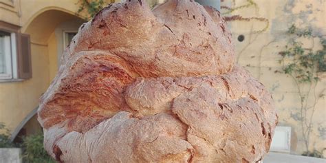 pane-di-matera-the-ancient-bread-of-basilicata image