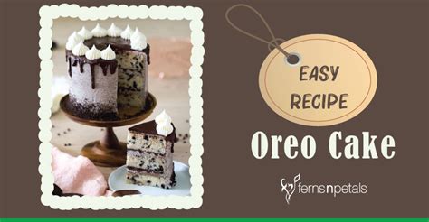 easy-oreo-cake-recipe-how-to-make-oreo-cake-at image