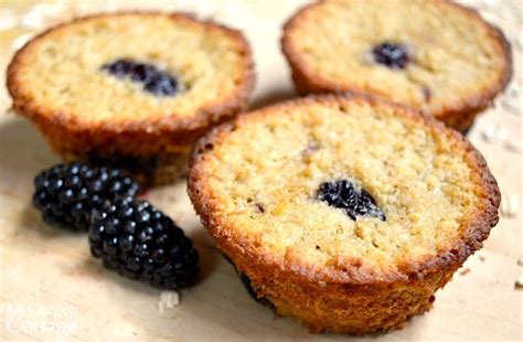 honey-sweetened-oat-whole-wheat-blackberry-muffins image