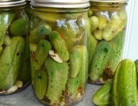 easy-garlic-dill-pickles-no-canning-needed-an-oregon image