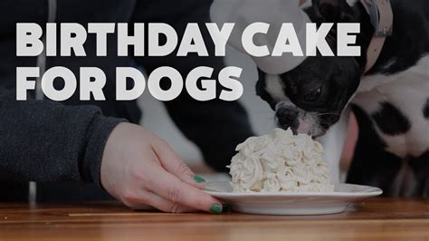 the-perfect-dog-cake-recipe-5-dog-birthday-cakes-your image