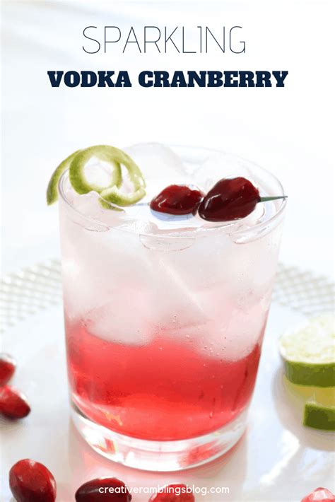 sparkling-vodka-cranberry-cocktail-creative-ramblings image