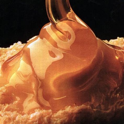 honey-cornmeal-biscuits-1987-click-americana image