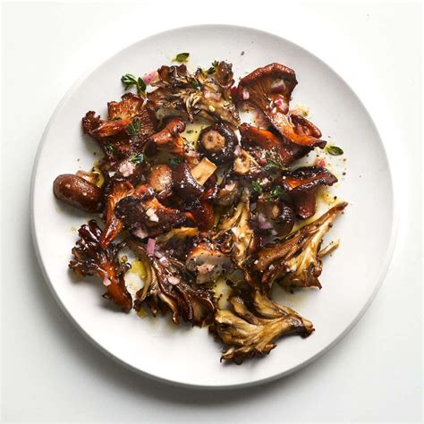 mushroom-fricassee-recipe-michael-poiarkoff-food image