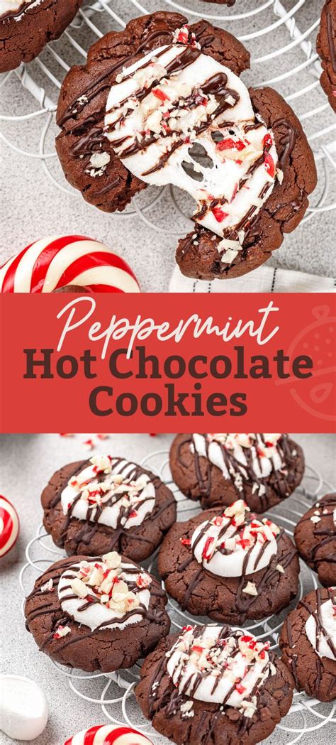 peppermint-hot-chocolate-cookies-lemon-blossoms image