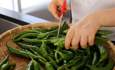 green-chili-pepper-pickles-gochu-jangajji-recipe-by image