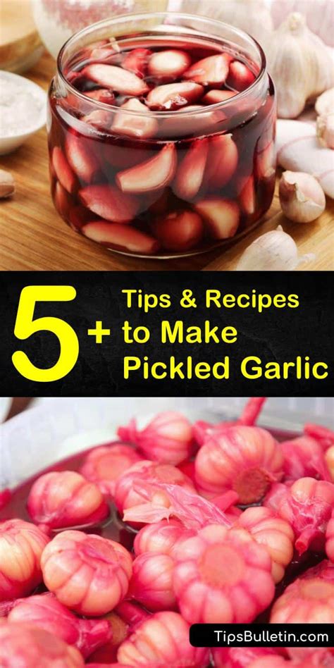 5-simple-recipes-to-make-pickled-garlic-tips image