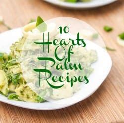 hearts-of-palm-recipes-10-nutritious-and-flavorful image