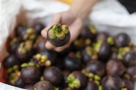 how-to-cut-and-prepare-mangosteen-fruit image