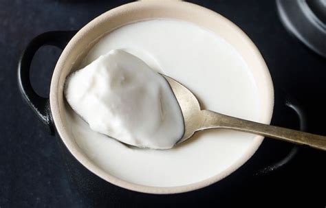 how-to-make-curd-at-home-dahi-recipe-indian-yogurt image