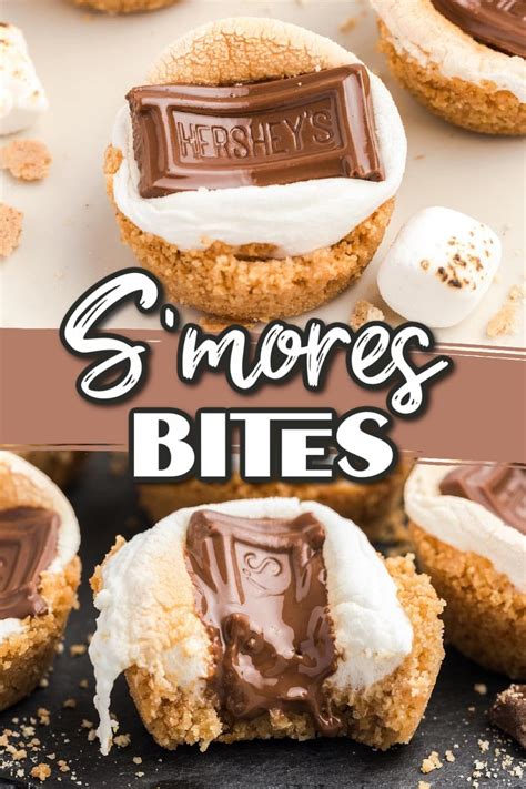 smore-bites-your-new-favorite-smores image