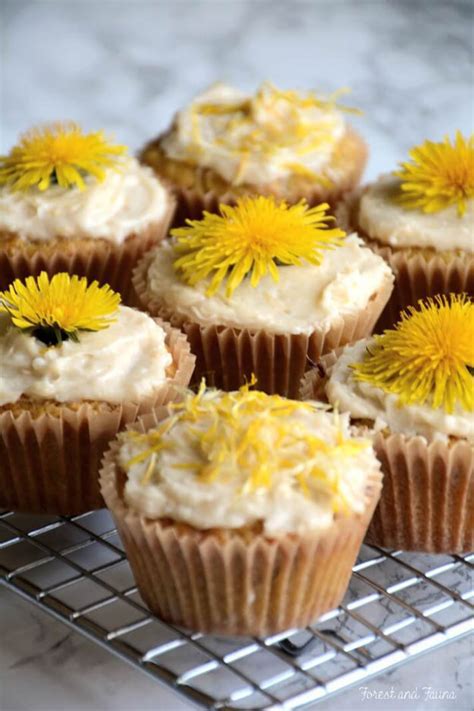 amazing-dandelion-recipes-to-make-from-your-pulled image