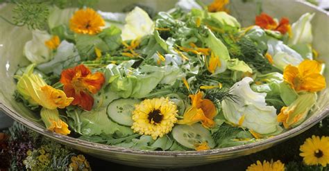 green-salad-with-nasturtium-and-marigold-flowers image