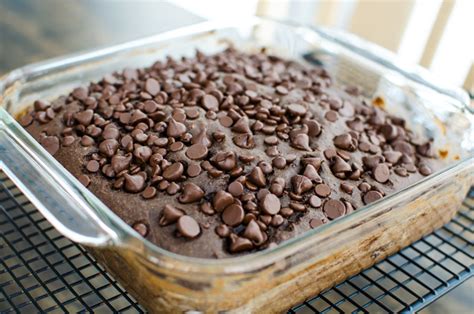 gluten-free-chocolate-snack-cake-veggie-primer image