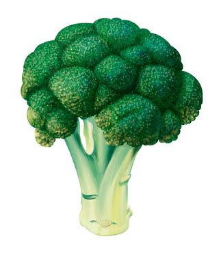 5-ingredient-broccoli-soup-sheila-kealey image