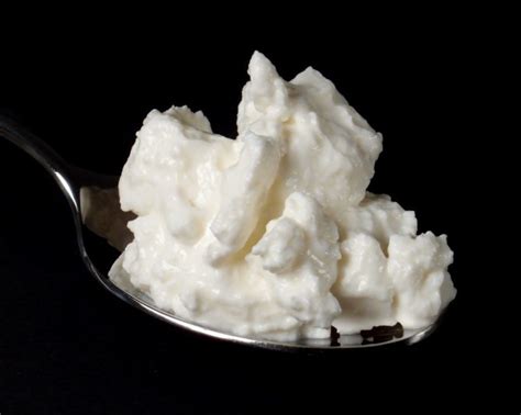 what-is-dry-curd-cottage-cheese-the-dairy-dish image