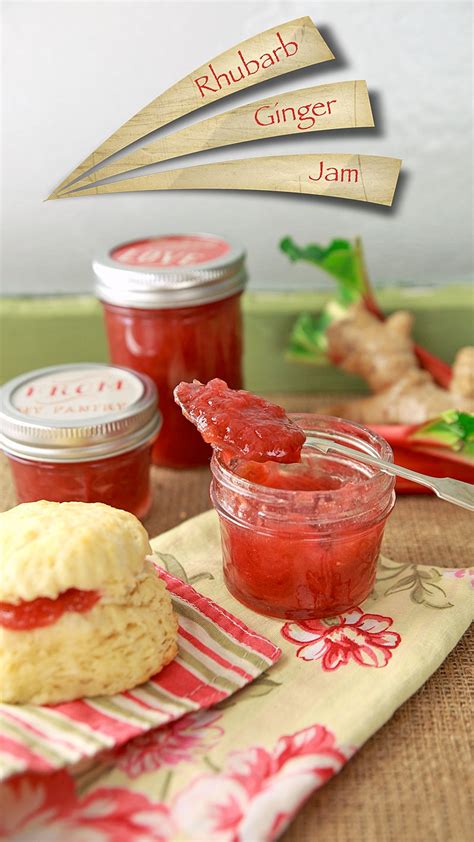 rhubarb-ginger-jam-recipe-oh-thats-good image