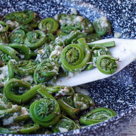 cheesy-sauted-fiddleheads-food-meanderings image