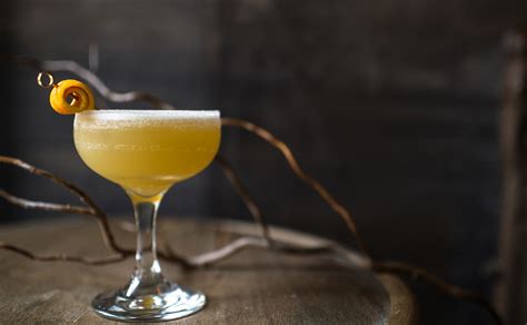 sidecar-cocktail-recipe-punch image