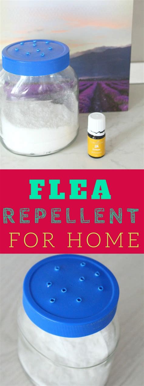diy-flea-repellent-for-home-easy-peasy image