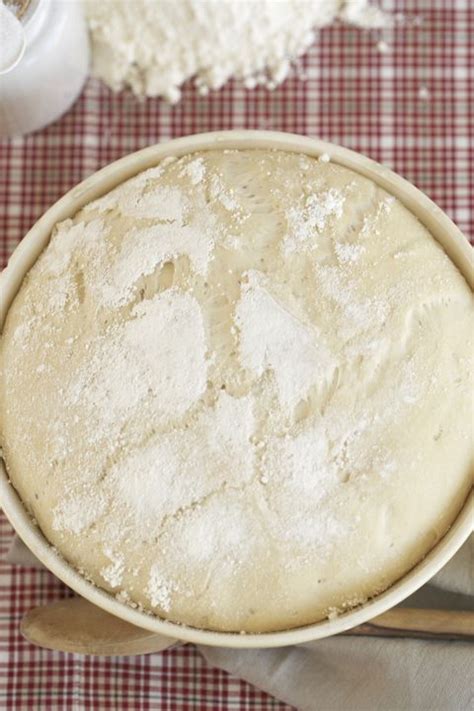 16-best-flour-substitutes-healthy-alternative-flours image