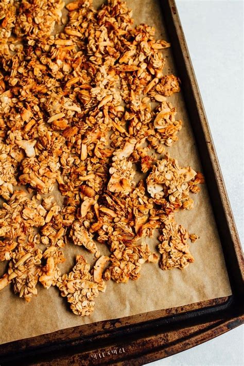 coconut-almond-granola-eating-bird-food image