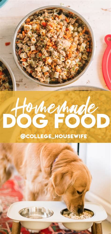 diy-homemade-dog-food-recipe-college-housewife image