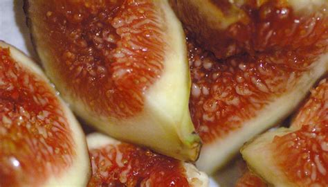 figs-relieve-constipation-in-clinical-trial-dr-michael image