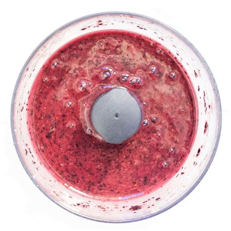 blueberry-puree-healthy-little-foodies image