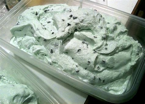homemade-mint-chocolate-chip-ice-cream-recipe-food image