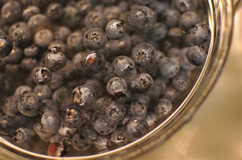 june-can-jam-slow-cooker-blueberry-butter-food-in image