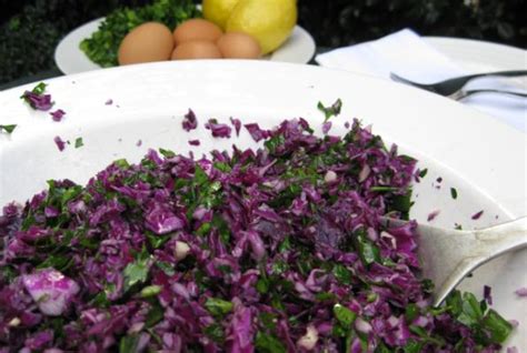 raw-vegan-red-cabbage-salad-vegwebcom image